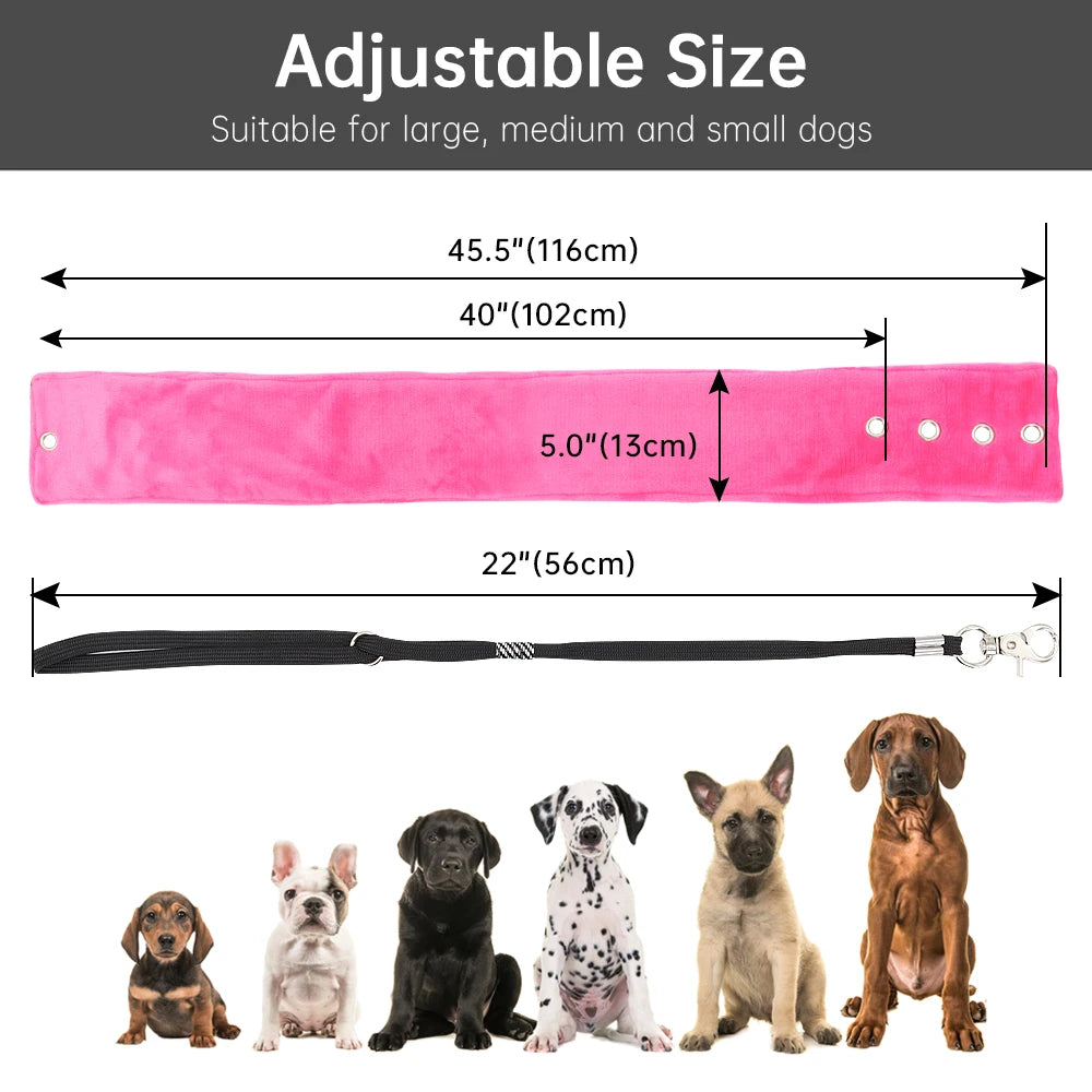 No Sit Pet Haunch Holder