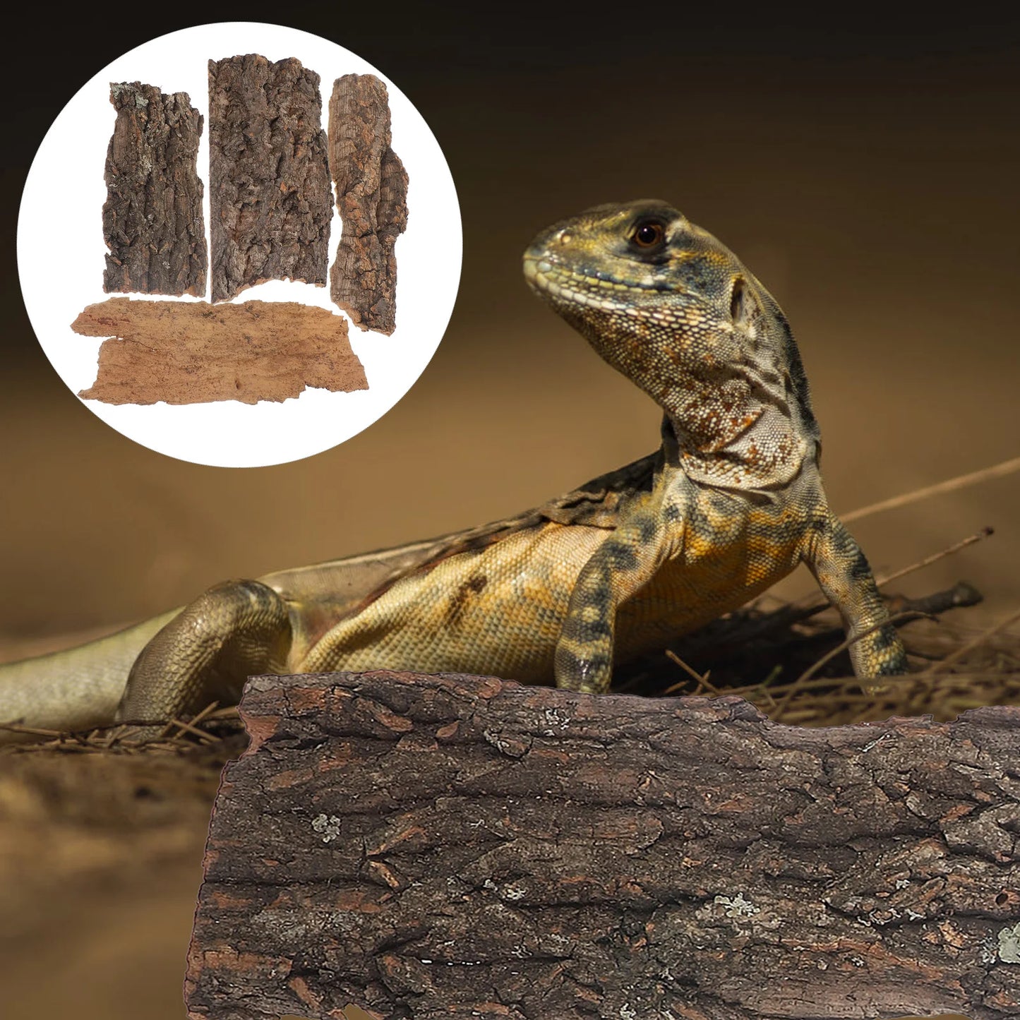 Natural Cork Reptile Bark
