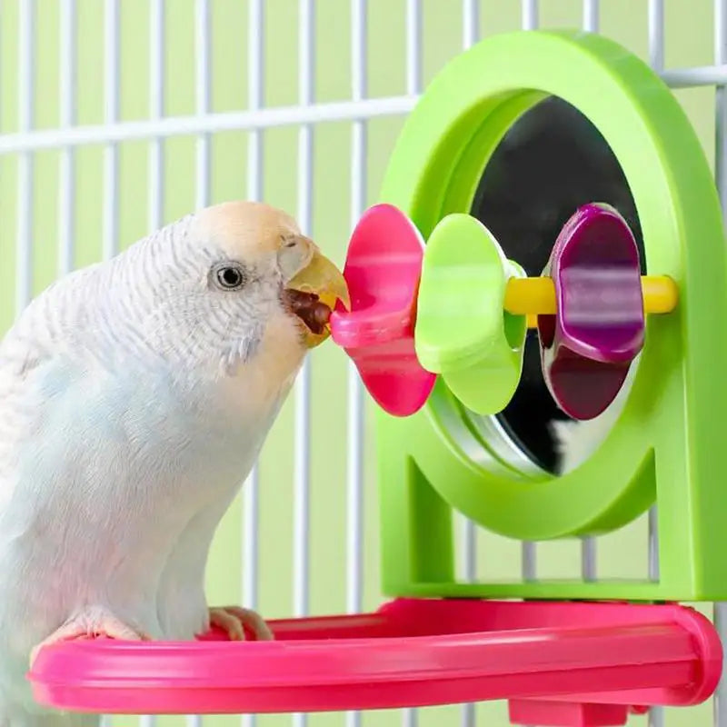 Interactive Bird Mirror