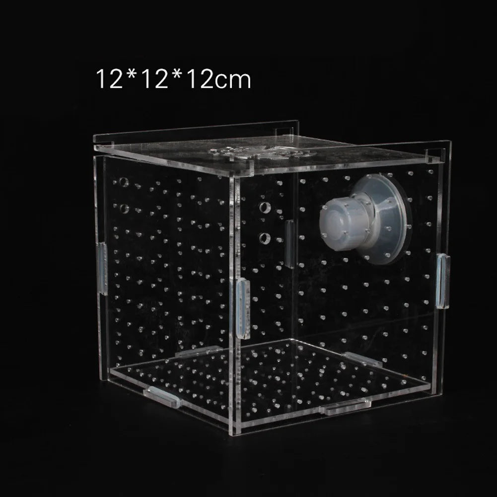 Single Breeding Box Incubator