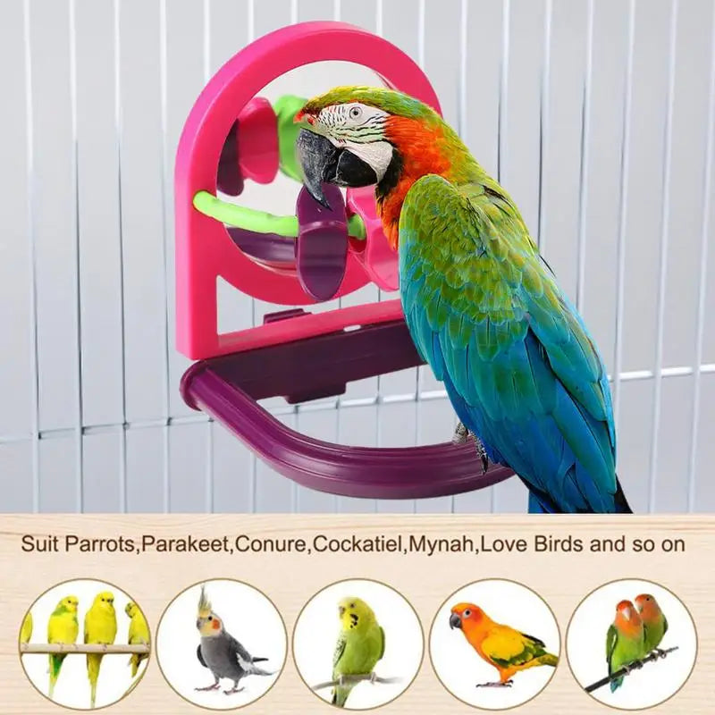 Interactive Bird Mirror