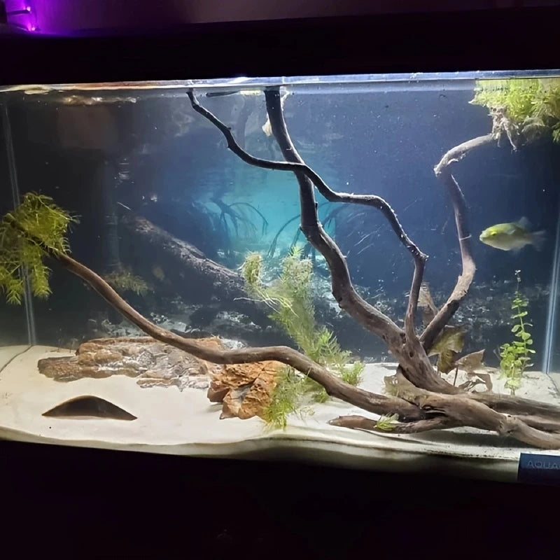 Aquarium Pocket Cave Ornaments