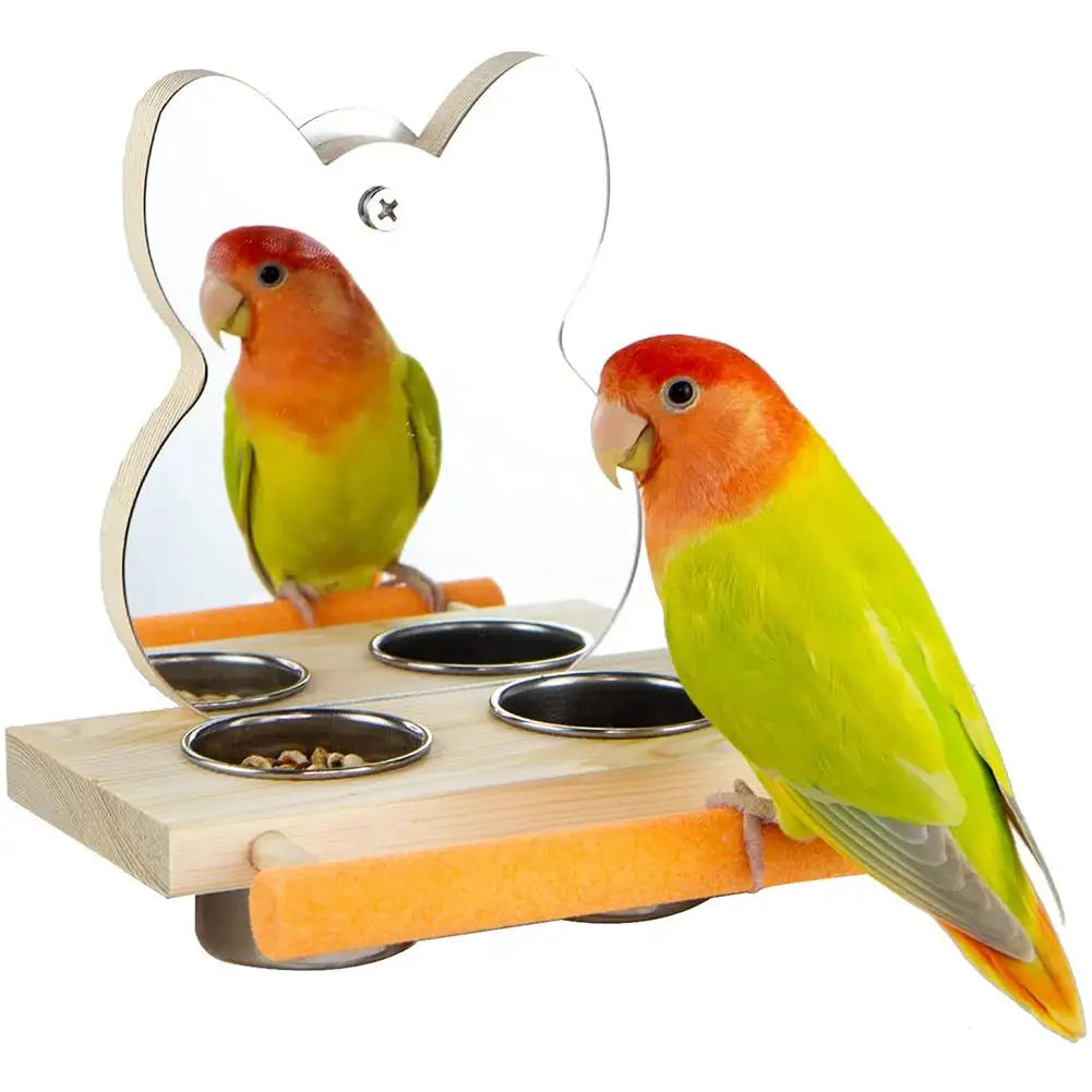 Pet Parrots Mirror With Bowl Feeder