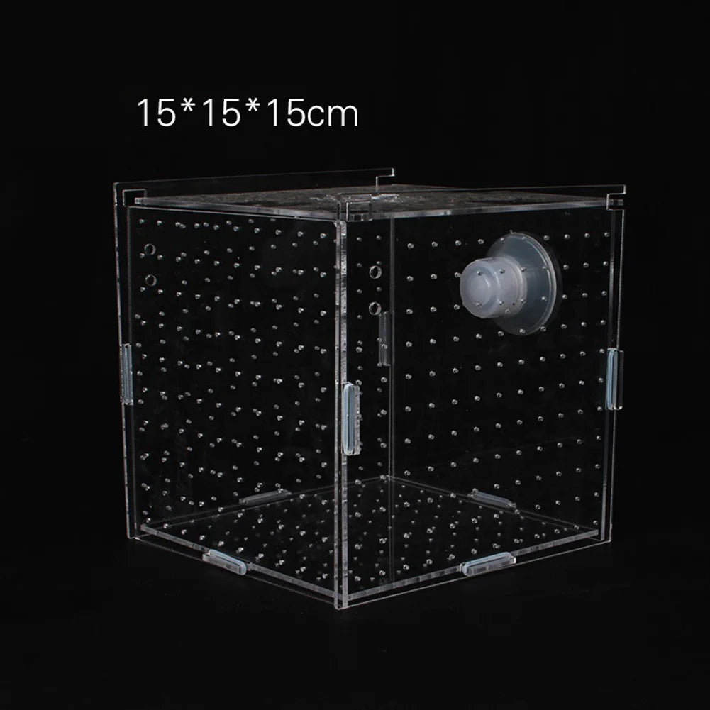 Single Breeding Box Incubator