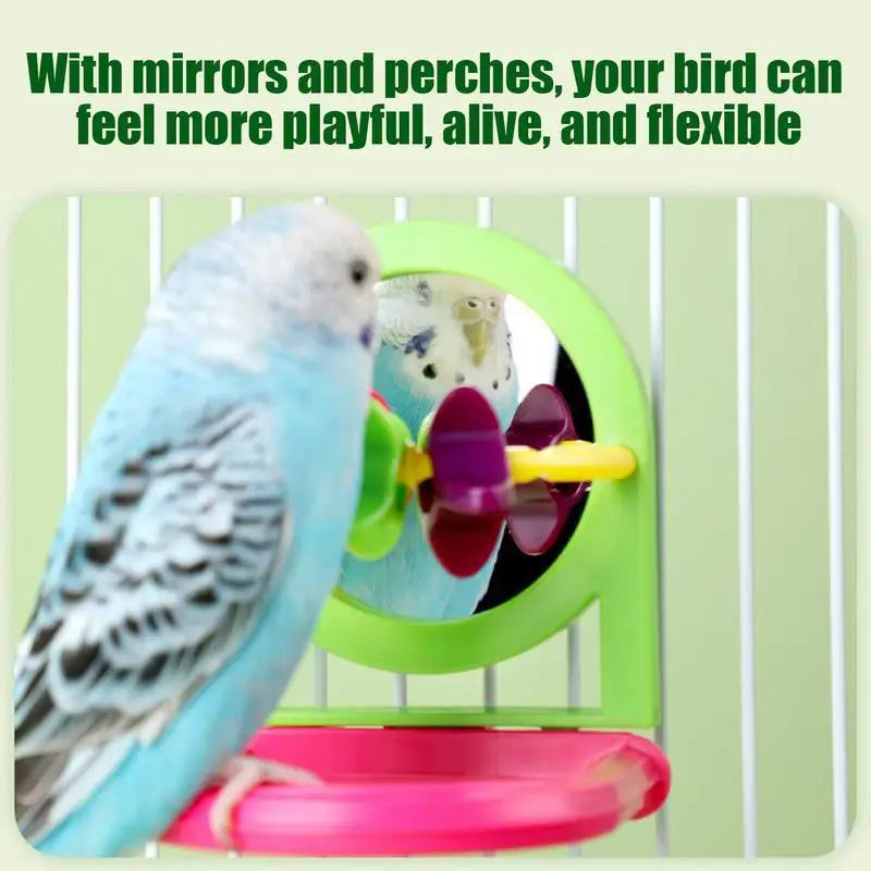 Interactive Bird Mirror