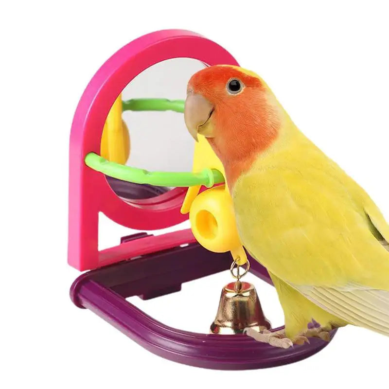 Interactive Bird Mirror
