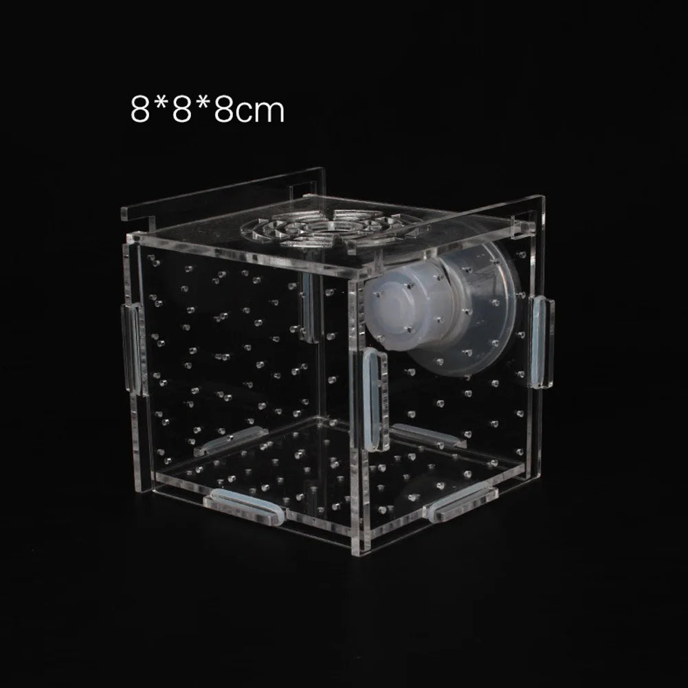 Single Breeding Box Incubator