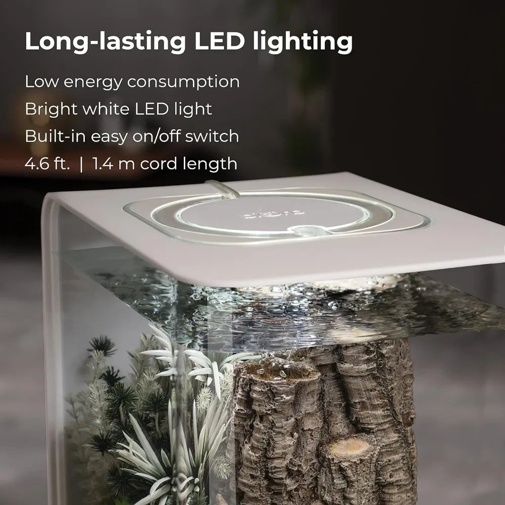 Tabletop Display Aquarium with White LED Lights, Fish Tanks