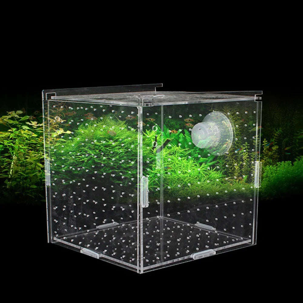 Single Breeding Box Incubator
