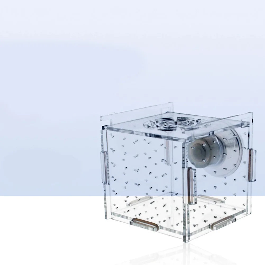 Single Breeding Box Incubator