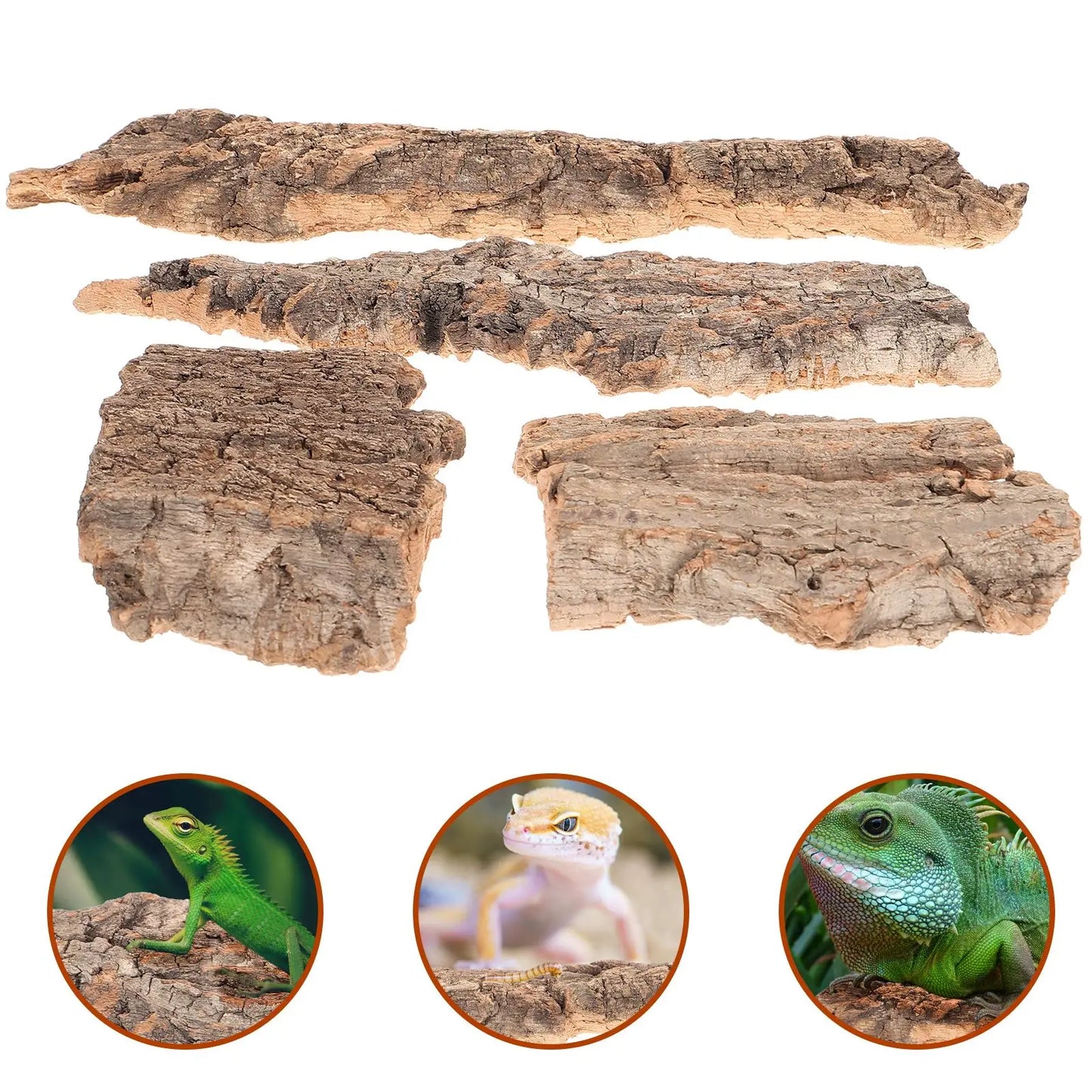 Natural Cork Reptile Bark