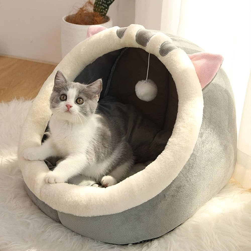 Pet Beds