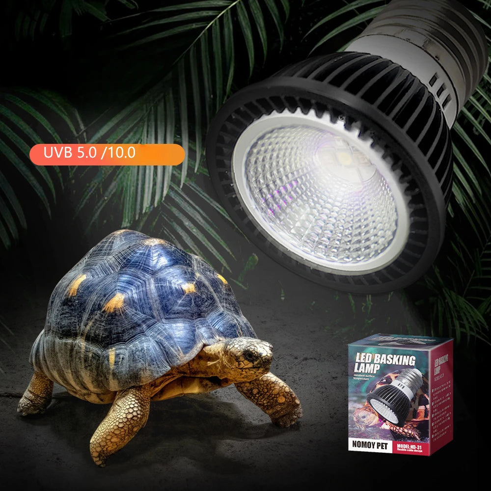 Reptile 110/220V UVB+UVA Light Energy-Saving Eye Protection Led Lamp