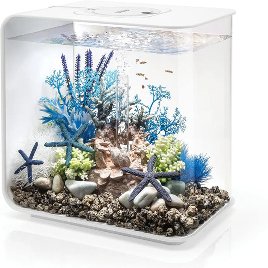 Tabletop Display Aquarium with White LED Lights, Fish Tanks