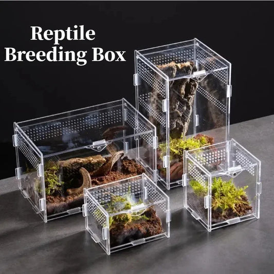 Reptile Habitat Terrarium Breeding Box Case