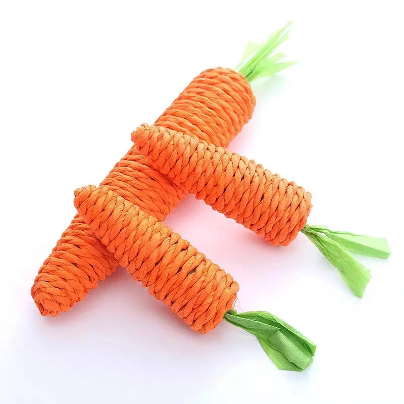 Carrot Sound Pet Chew Toy