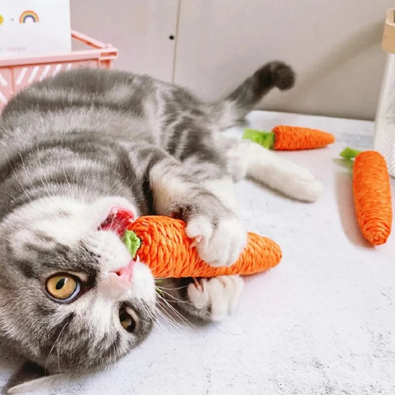 Carrot Sound Pet Chew Toy