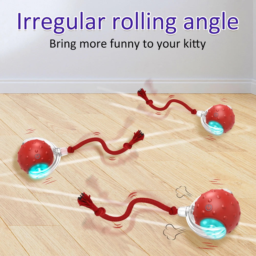 Rolling Ball Bird Chirping Interactive Toys