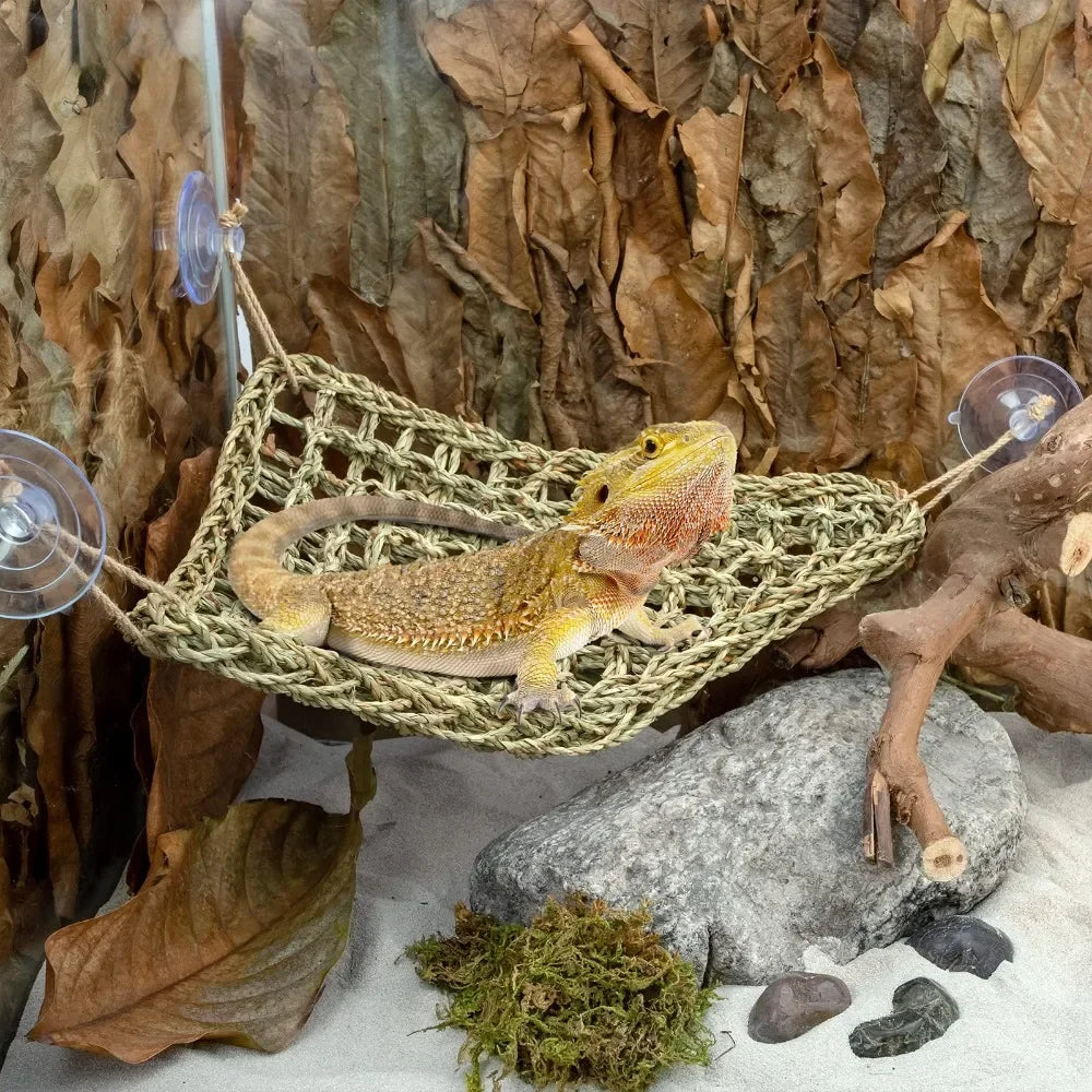 Bearded Dragon Reptile Hammock