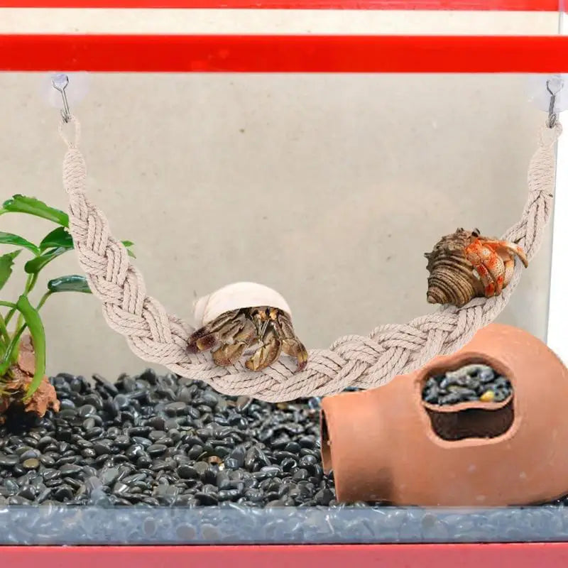 Hermit Crab Toys Ladder