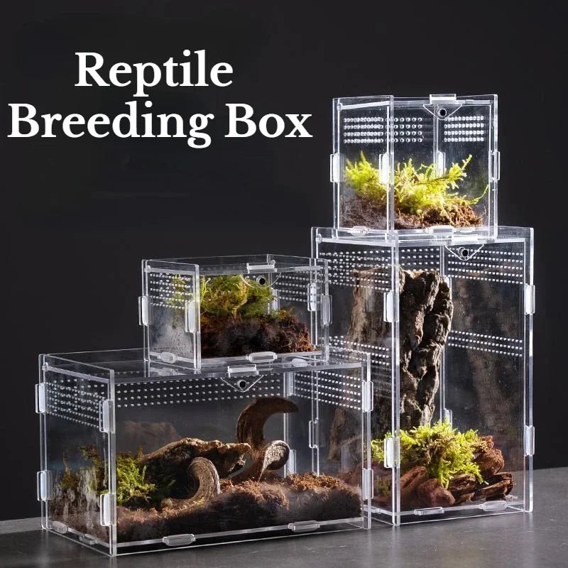 Reptile Habitat Terrarium Breeding Box Case