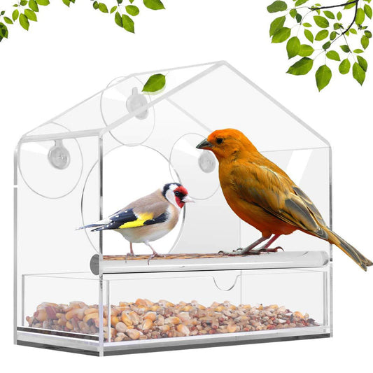 Acrylic Transparent Bird Feeder