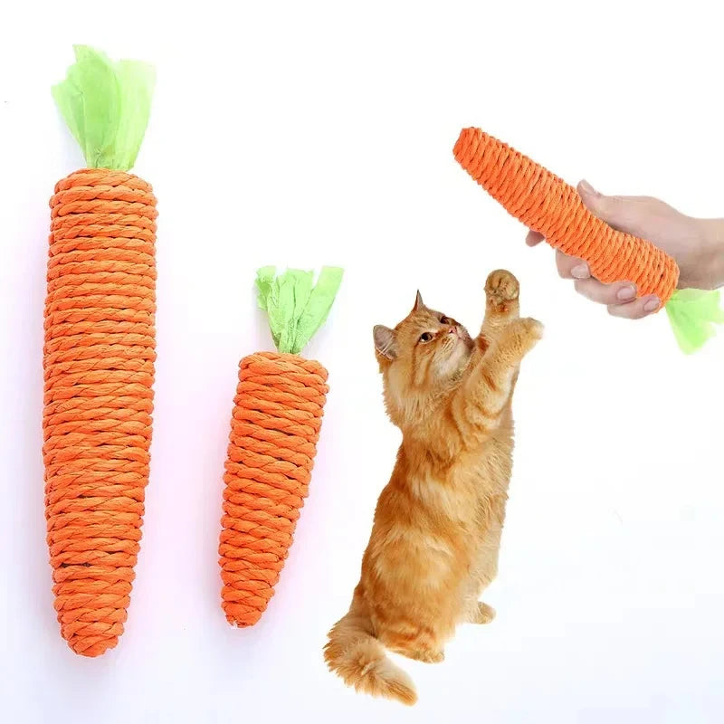 Carrot Sound Pet Chew Toy