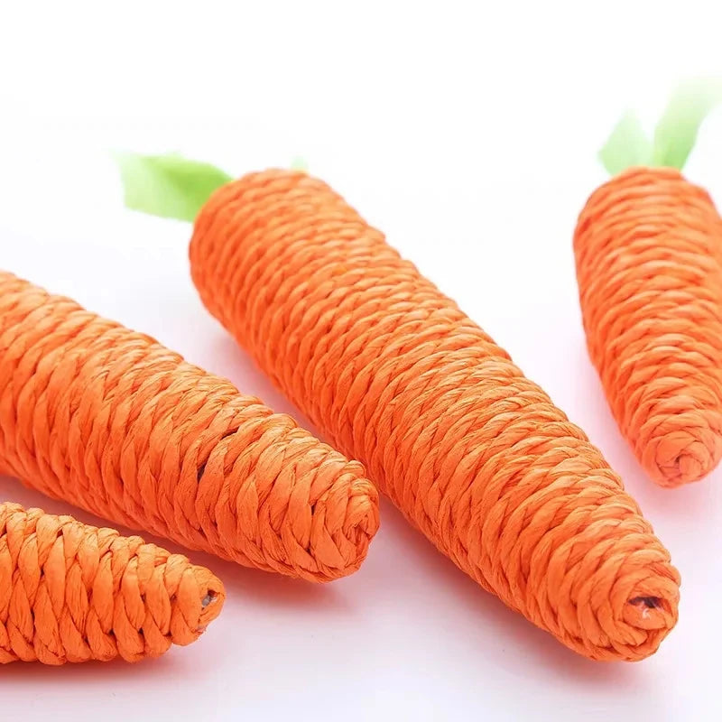 Carrot Sound Pet Chew Toy